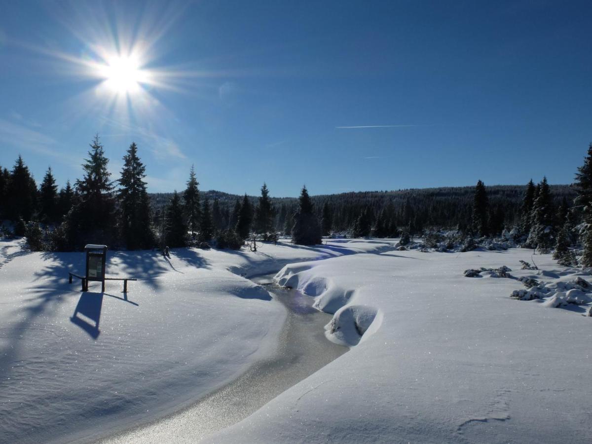 Chata Bajama Bedřichov Buitenkant foto
